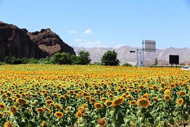 《王者荣耀世界》新实机演示 独具东方文化特色