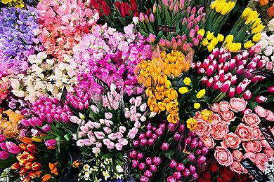 欧服 NSO 试玩同乐会新一期免费游戏 《洞穴探险2》